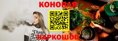 крисы Апшеронск
