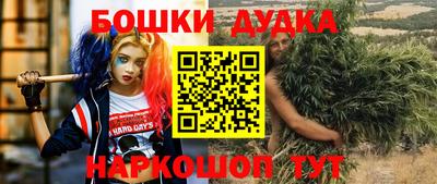 крисы Апшеронск