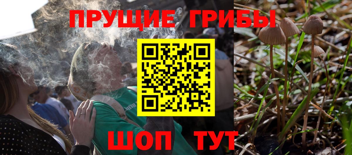 Волгодонск  Псилоцибиновые грибы Magic Shrooms  Вход с VPN 